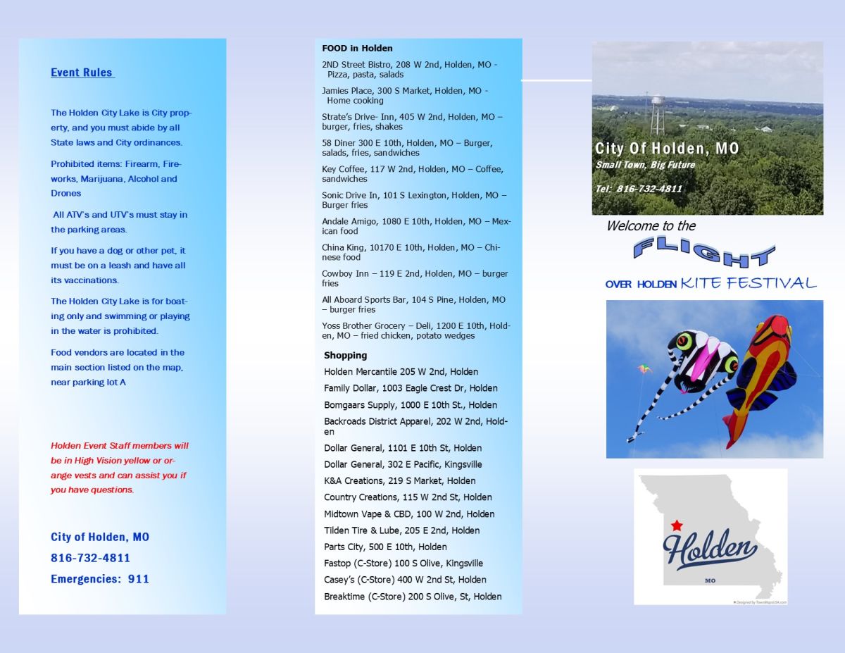 Kite Festival - Page 1